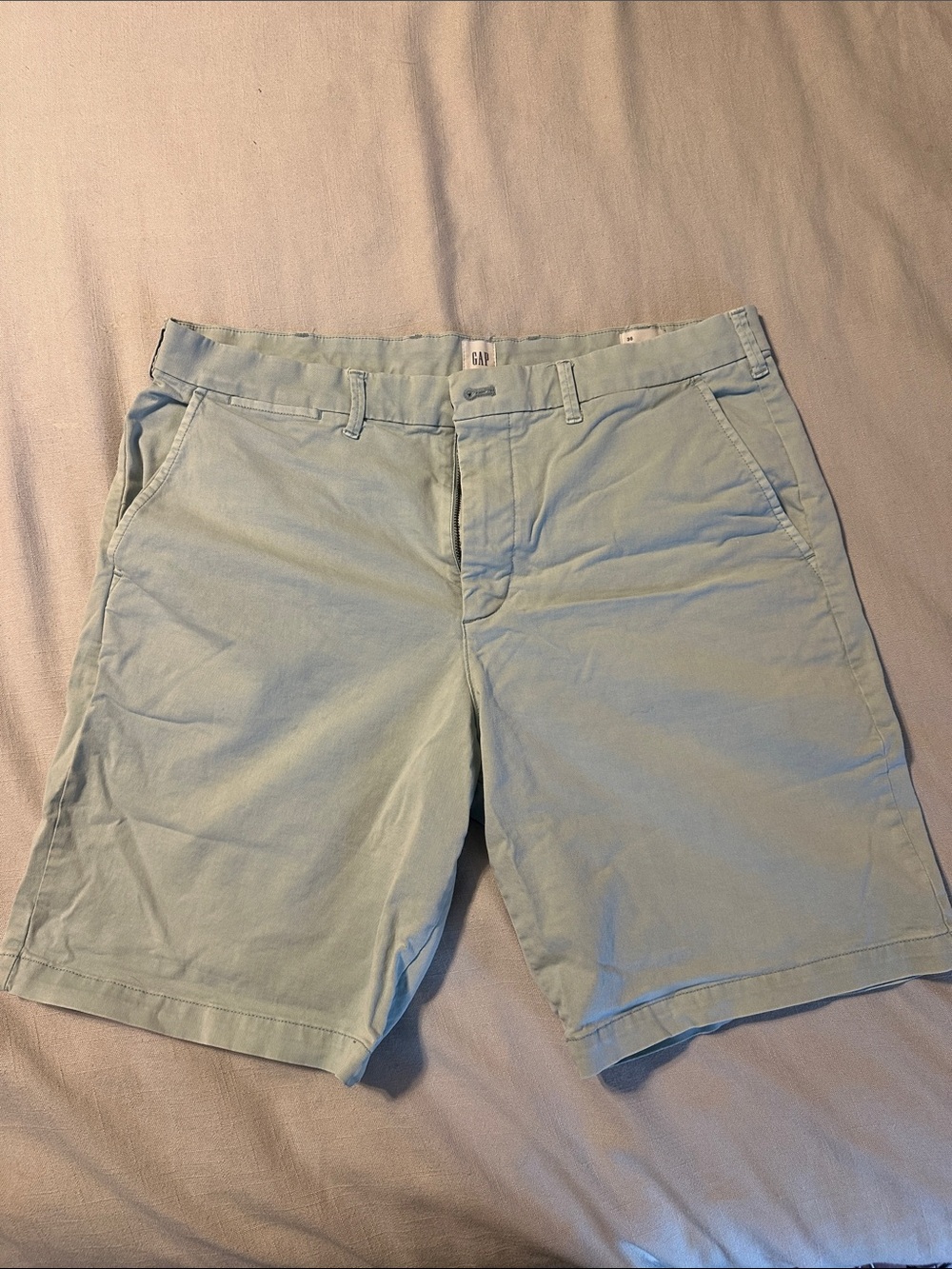 GAP Men's Pale Blue Flat Front Chino Shorts